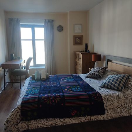 Swallows Nest - Spacious Bright Double Bedroom With Ensuite Bathroom Дублин Экстерьер фото